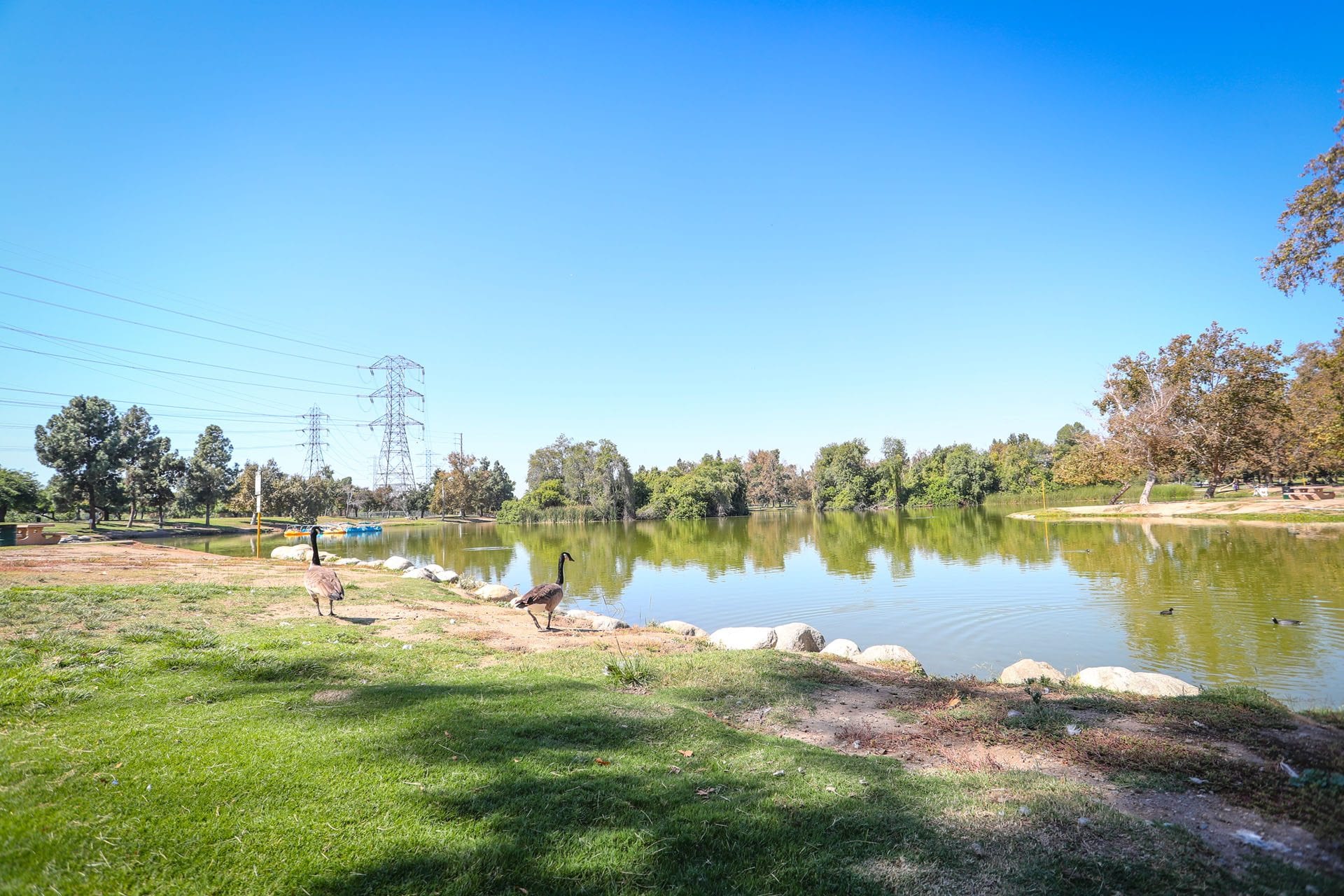 Whittier Narrows Recreation Area Parks & Recreation