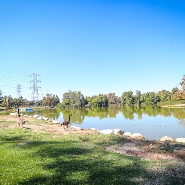 Whittier Narrows Recreation Area Parks & Recreation