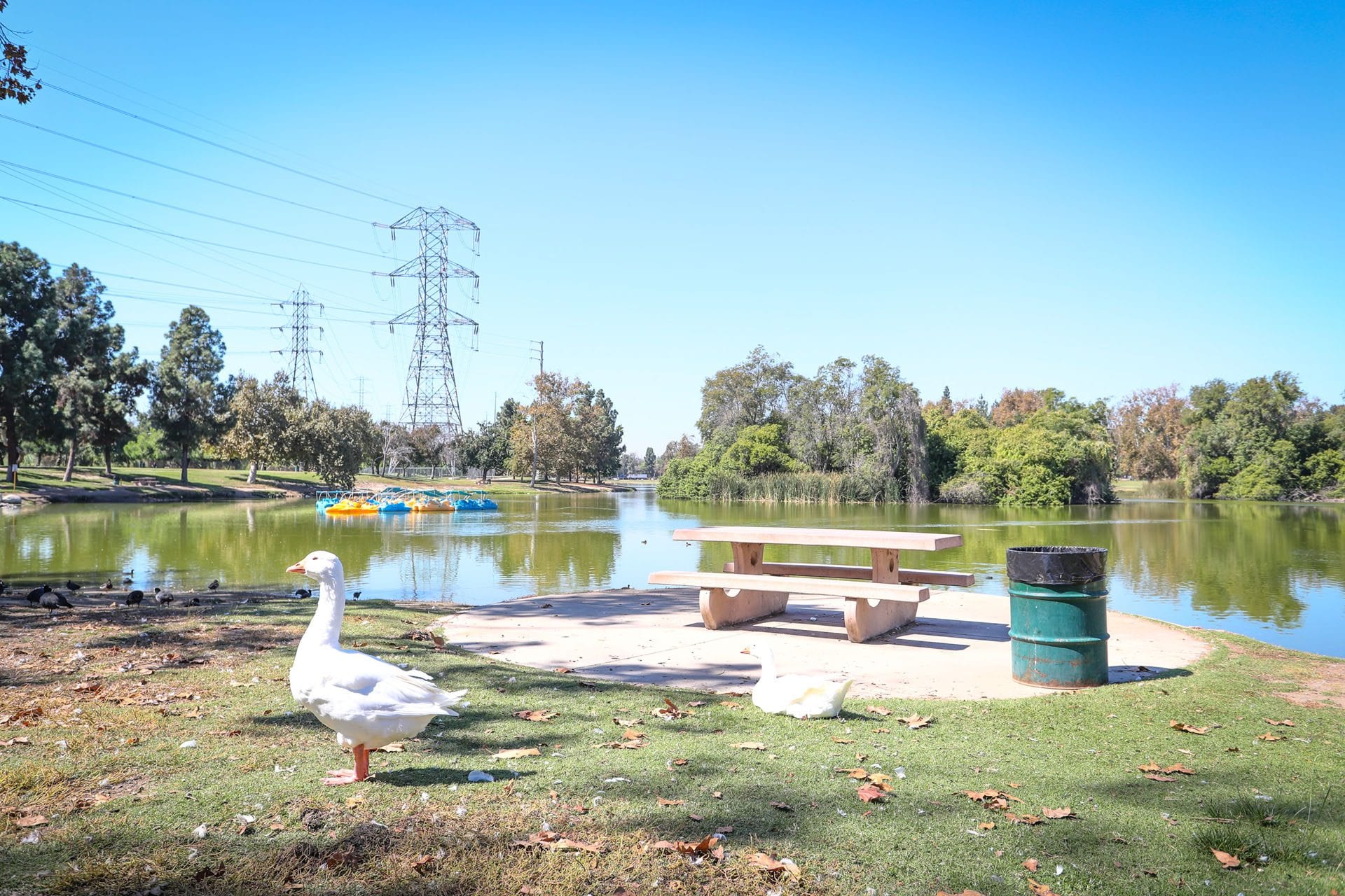 Whittier Narrows Overnight Camping 2025