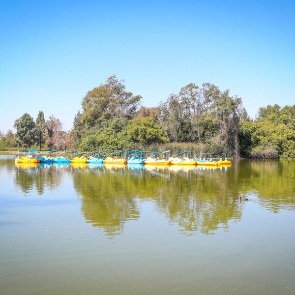 Whittier Narrows Recreation Area Parks & Recreation