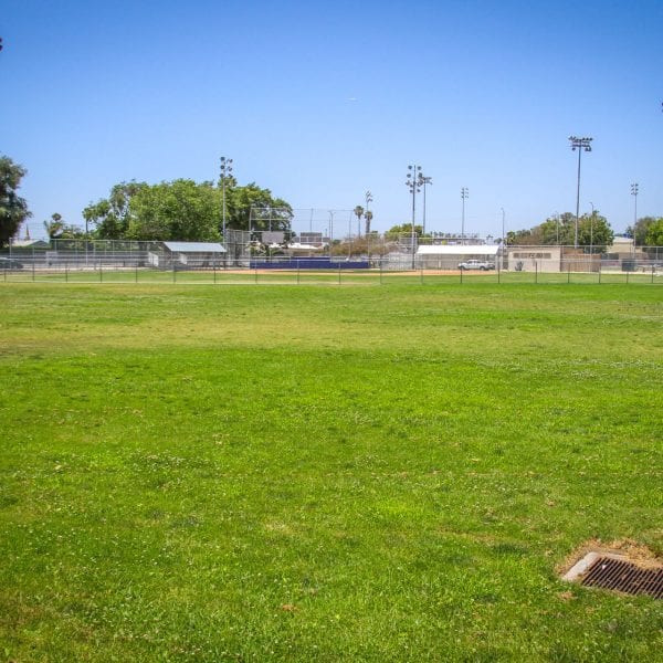 Grass area outside of baseball field