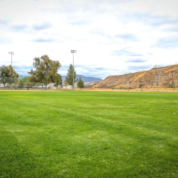 Wide open grass area of a baseball field