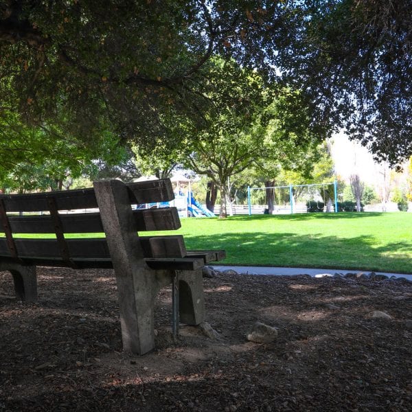 Bench next to walkway and park