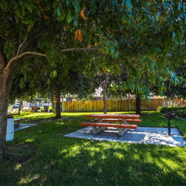 Picnic table shaded by trees