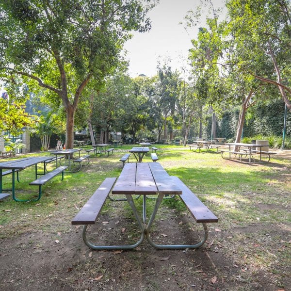 Picnic tables and trees