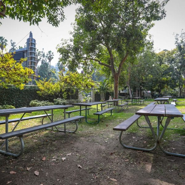 Picnic tables shaded by trees