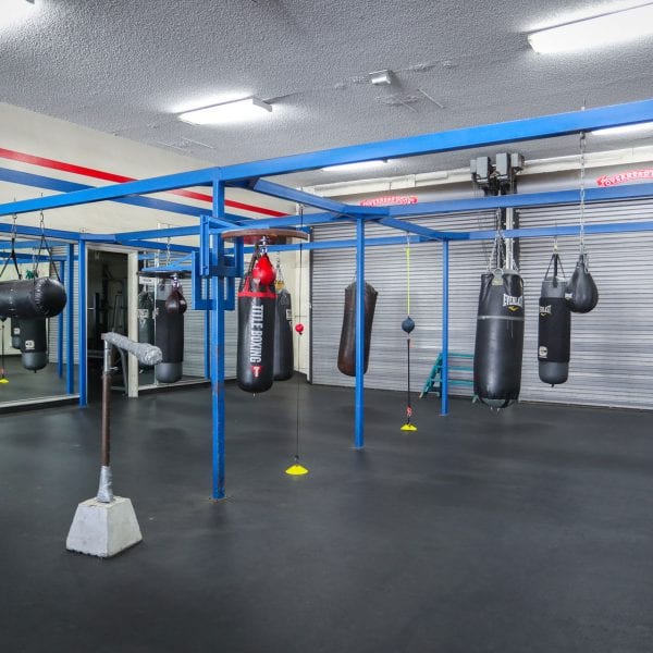 Punching bags in the gym 4