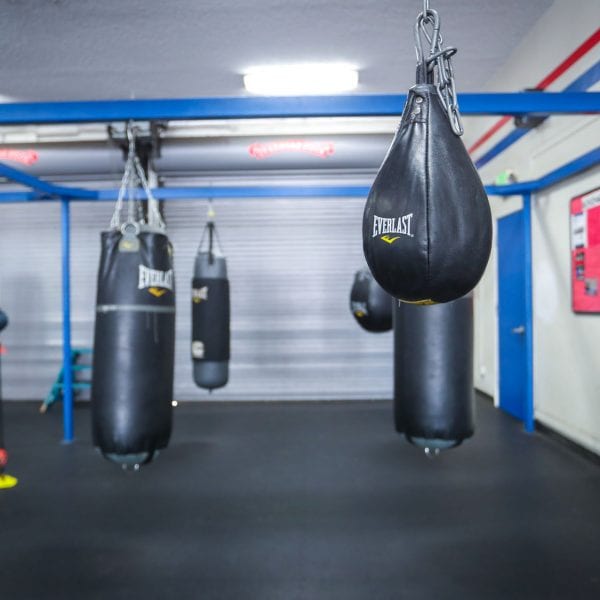 Punching bags in the gym 3