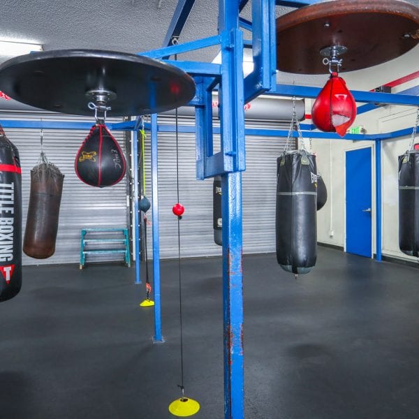 Punching bags in the gym 1
