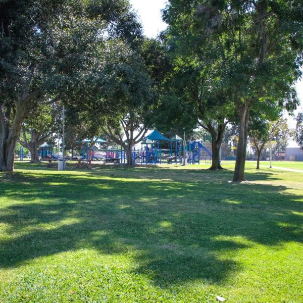 Trees and grass in front of the playground