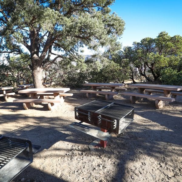 Picnic tables and BBQ grills