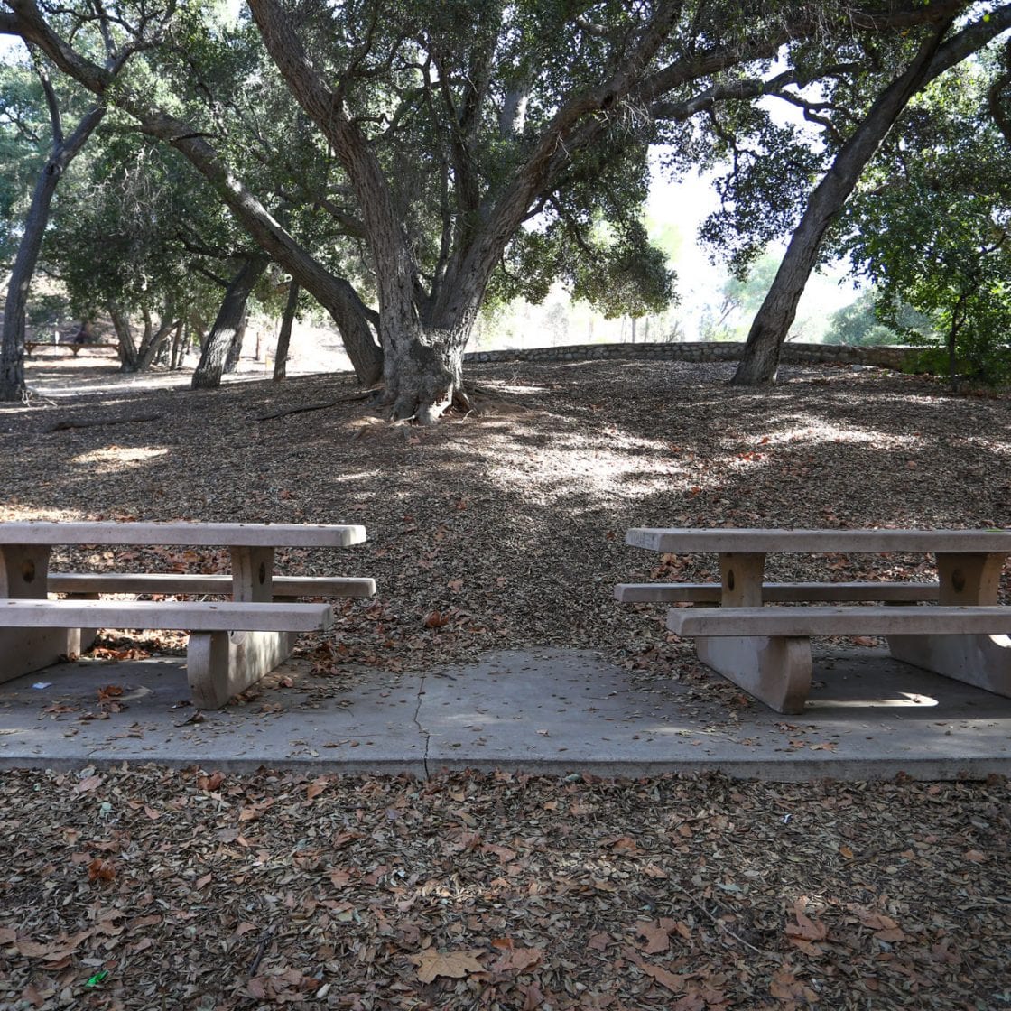 Dexter Park Parks & Recreation