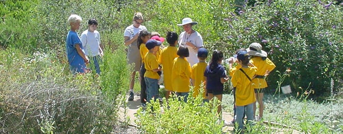 LA County volunteer with children on nature walk