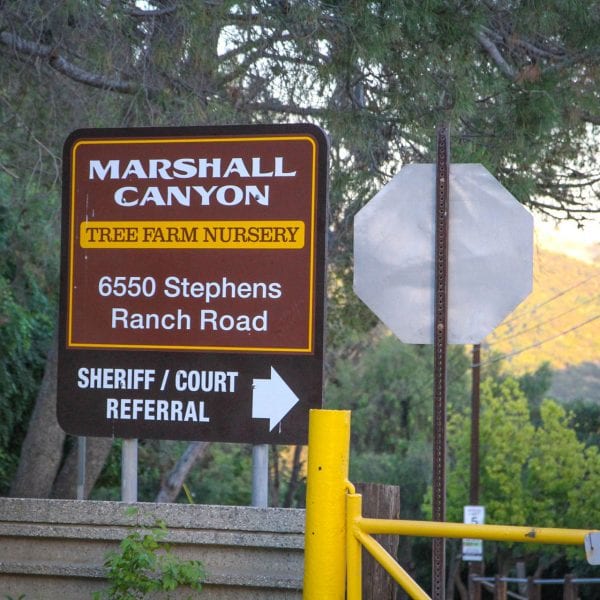 Marshall Canyon Tree Farm Nursery Sign