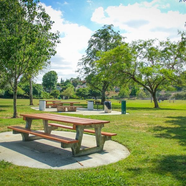 Picnic tables, grills and trash cans