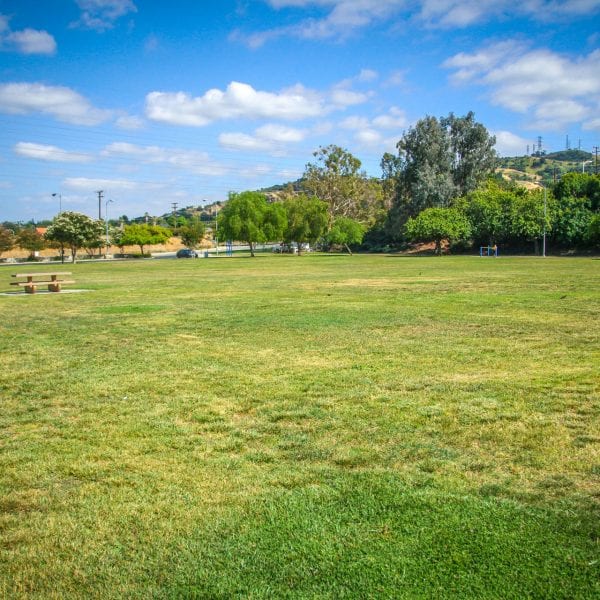 Wide open grass field with picnic table