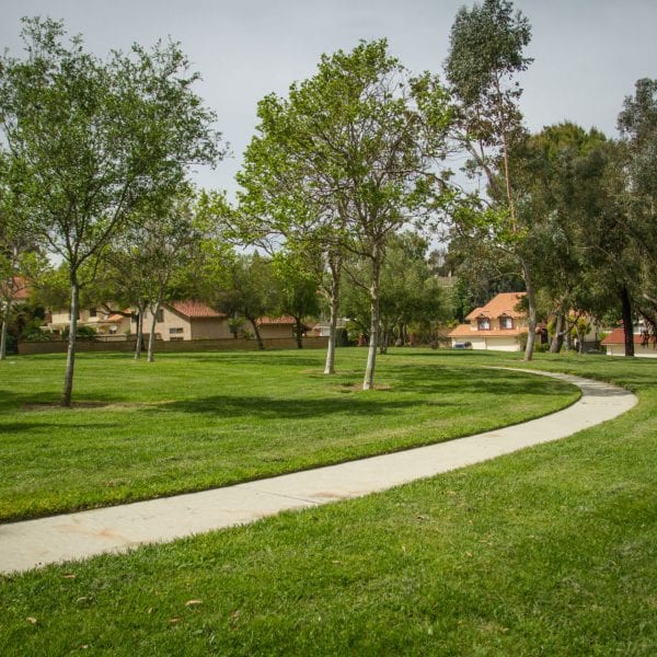 Paved path through lawn with trees