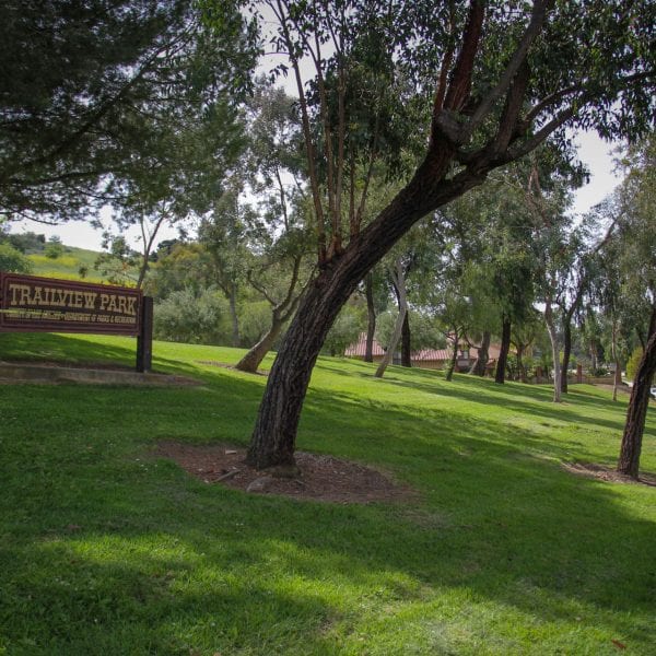Trailview Park sign and trees