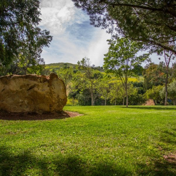 Big rock surrounded by grass