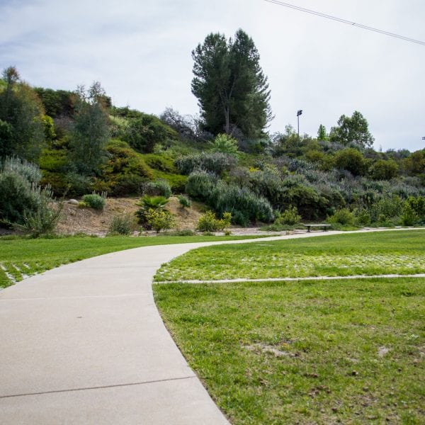 Concrete path through a green lawn