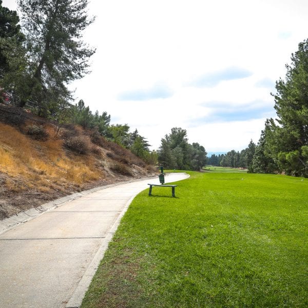 Golf cart path to the left of grass