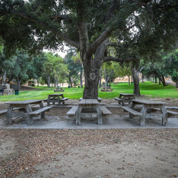 Picnic tables and trees in a valley-like grass field