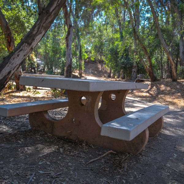 Adobe picnic table next to shaded dirt path