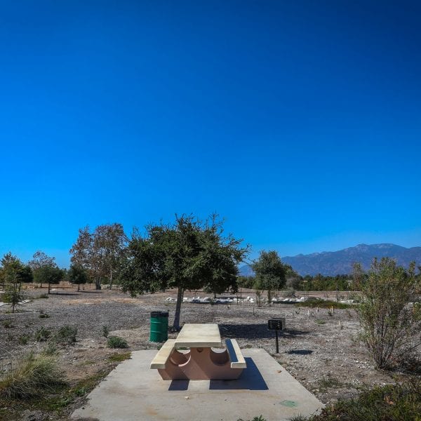 Picnic table, BBQ grill and trash can among trees, shrubs and a vibrant blue sky