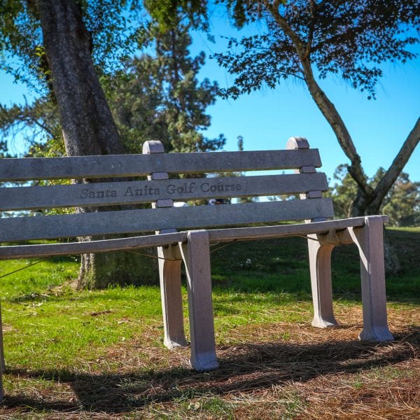 Bench in front of tree