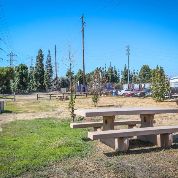 Picnic tables and newly planted trees
