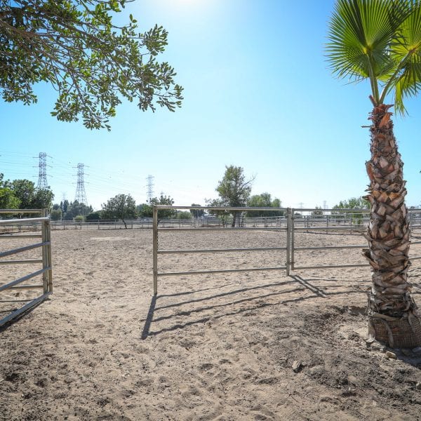 Gate to horse obstacle course