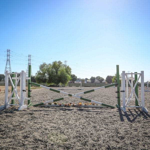 Horse obstacle course
