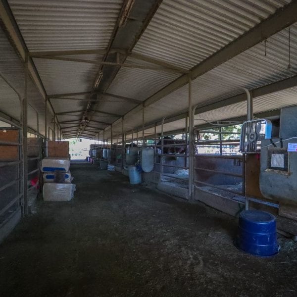 Covered horse stables
