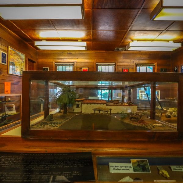 Displays in the nature center museum
