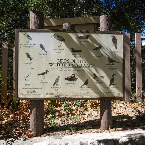 Birds of the Whittier Narrows informational sign