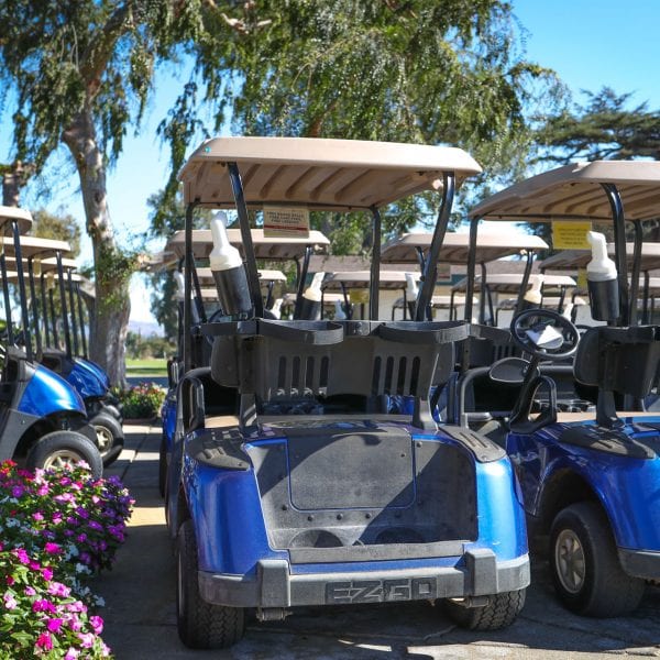Parked golf carts