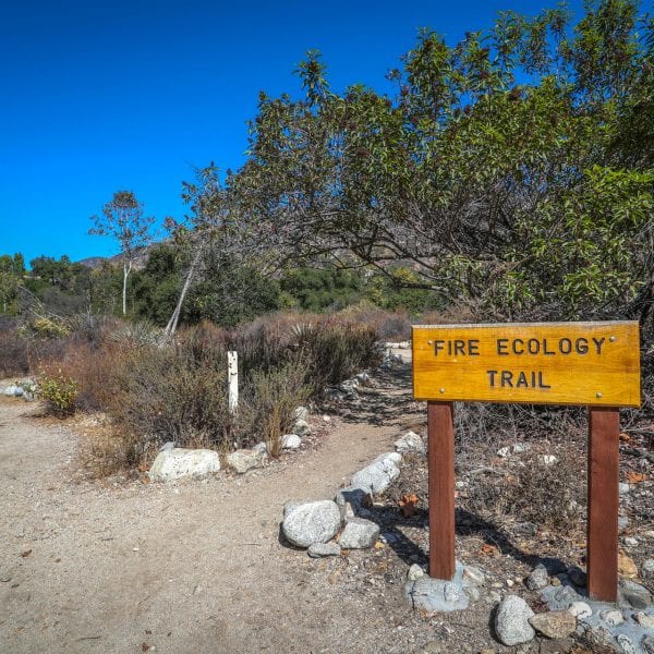 Fire Ecology Trail sign
