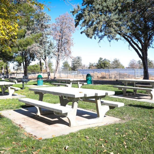 Picnic tables and trash cans in the park
