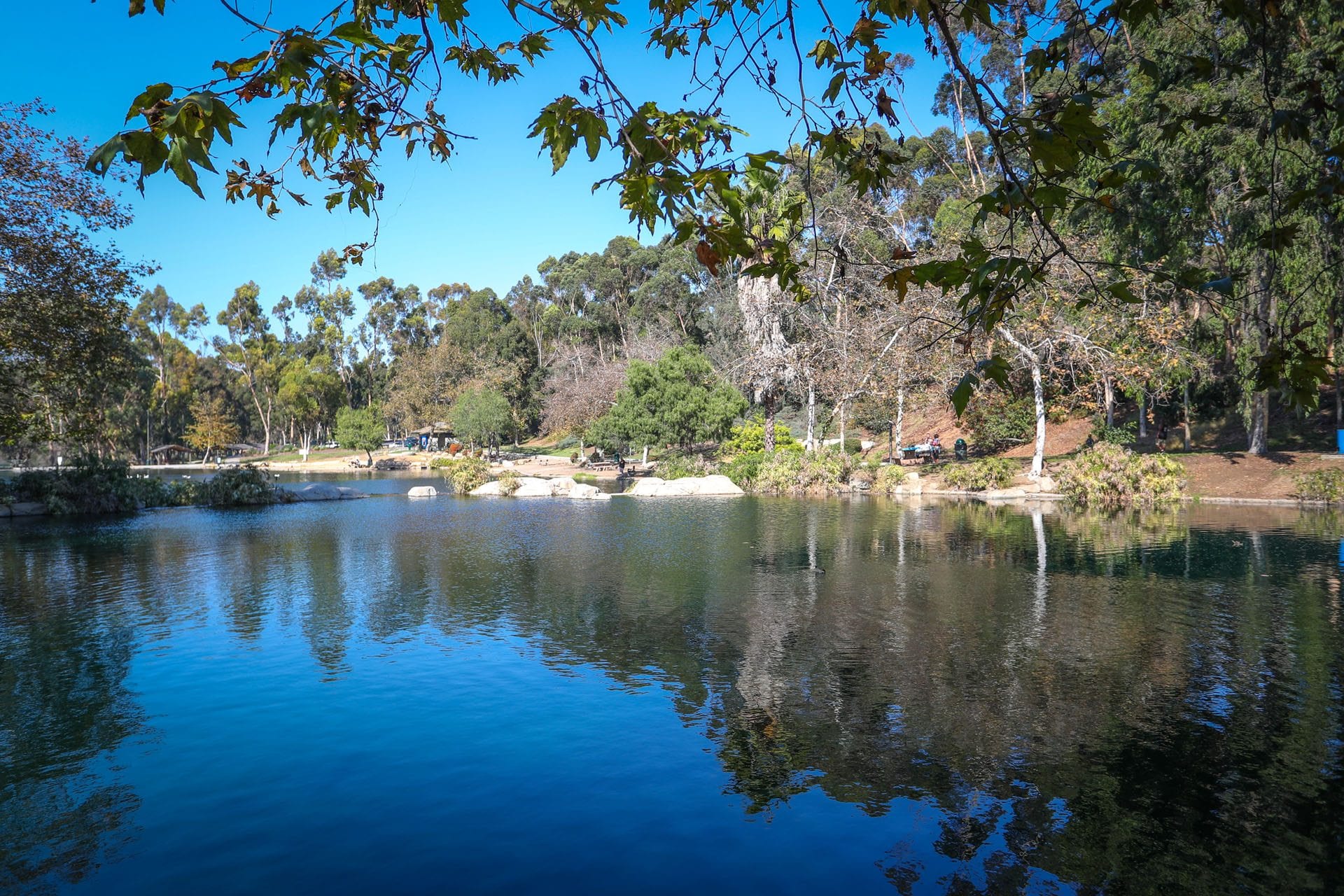Little Explorers: Eco-Painting with Nopal & Natural Pigments at Descanso Gardens