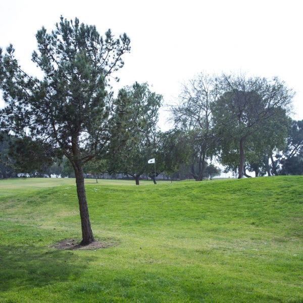 Maggie Hathaway Golf Course trees