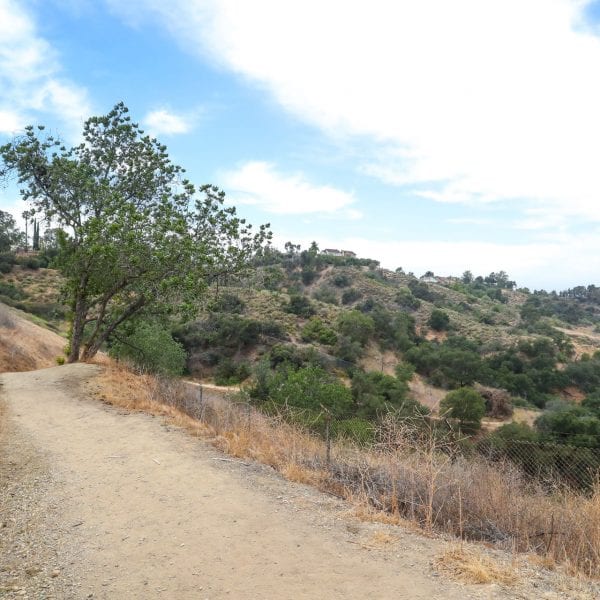 Trail on hillside