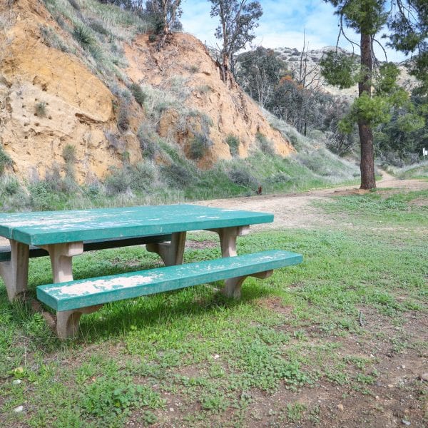 Picnic table with hill and tree in the background