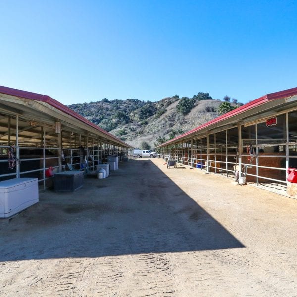 Horse stalls with horses in them