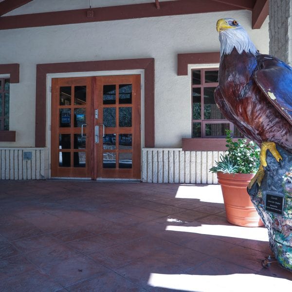 Statue of bald eagle in front of nature center