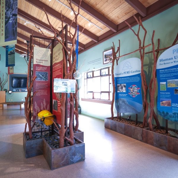 Informational displays in the nature center