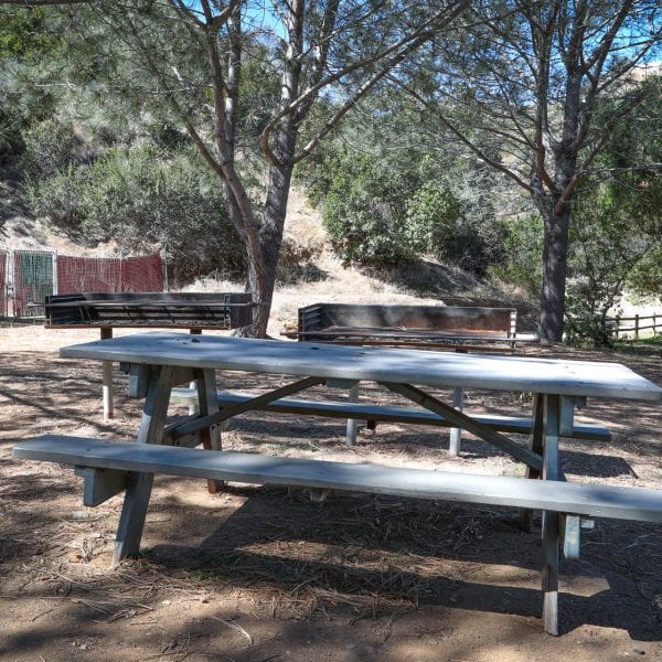 Picnic table and BBQ grills amongst trees