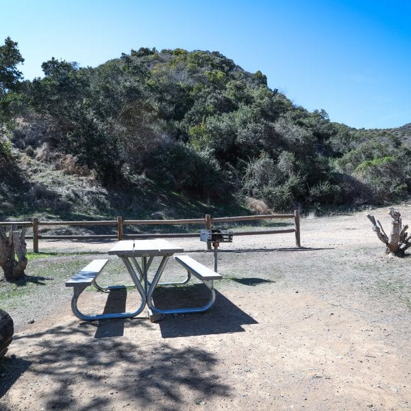 Picnic table and BBQ grill. Fence and trail behind