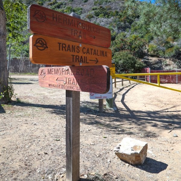 Signs: Hermit Gulch Trail. Trans Catalina Trail. Memorial Road Trail (Wrigley Botanic Garden).
