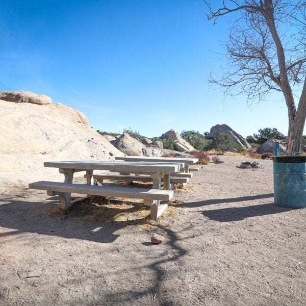 Picnic tables and trash can next to a lone tree on a dirt terrain