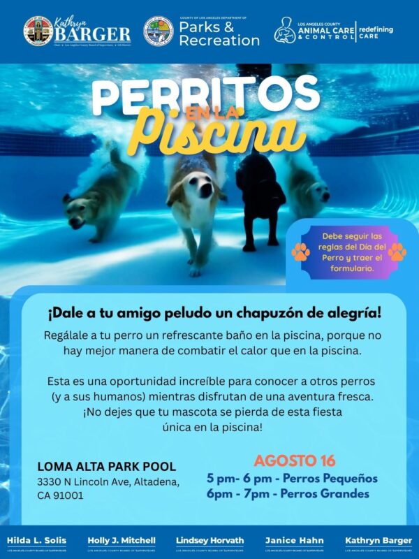 Pooches in the Pool Information